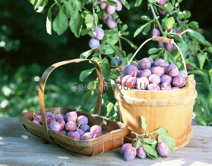 Сливы в корзине