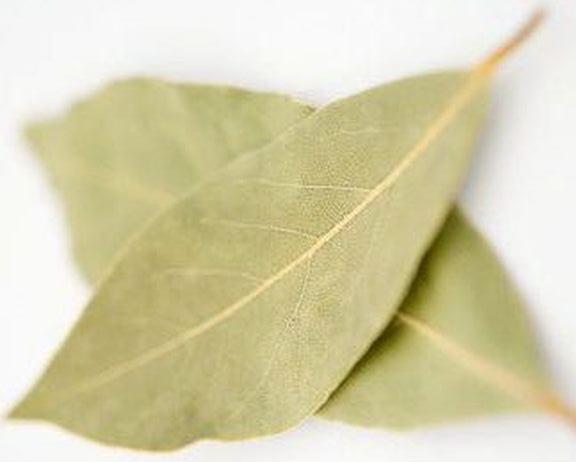 Лавровый лист для похудения