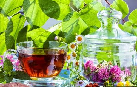 Травы при аллергии