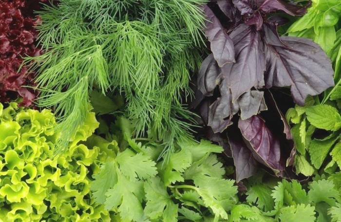 Зелень для смузи